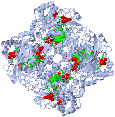 Image Biol. Unit 1 - sites