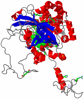 Image Asym. Unit - sites