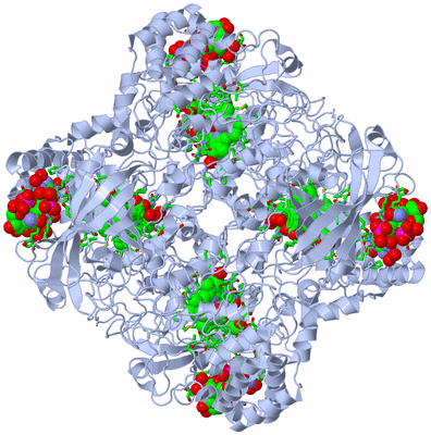 Image Biol. Unit 1 - sites