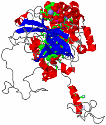 Image Asym. Unit - sites