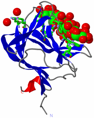 Image Asym. Unit - sites