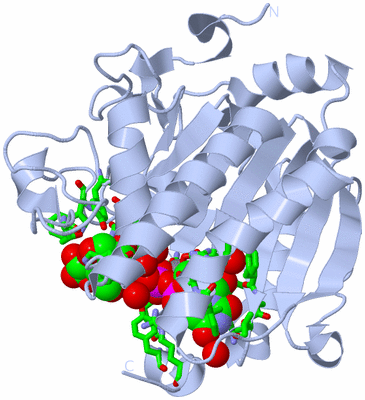 Image Biol. Unit 1 - sites