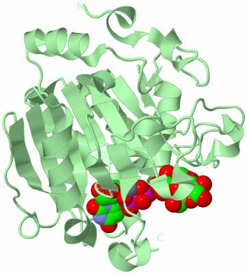 Image Biological Unit 2