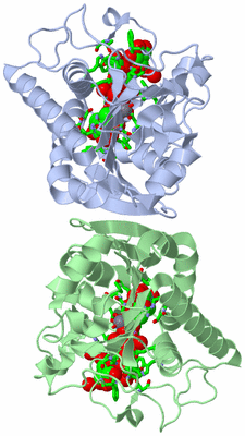 Image Asym. Unit - sites