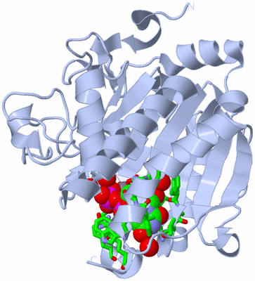 Image Biol. Unit 1 - sites