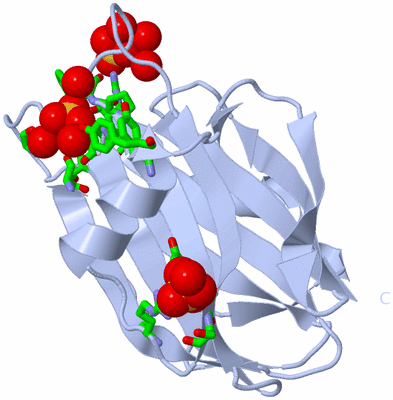 Image Biol. Unit 1 - sites