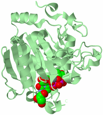 Image Biological Unit 2