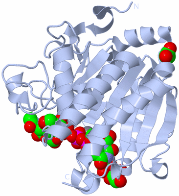 Image Biological Unit 1