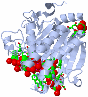 Image Biol. Unit 1 - sites