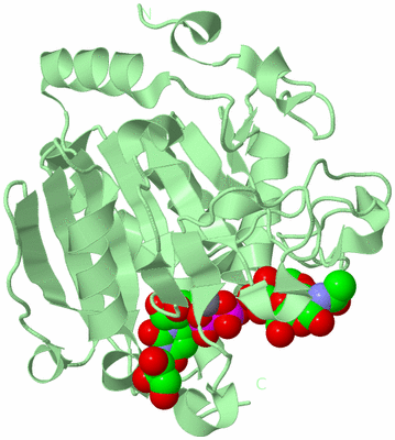 Image Biological Unit 2