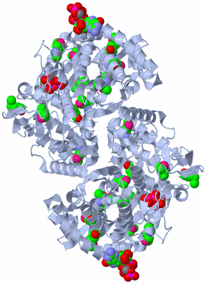 Image Biological Unit 1