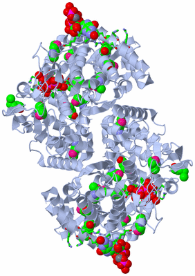 Image Biol. Unit 1 - sites