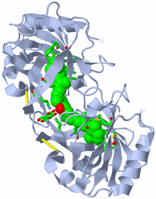 Image Biol. Unit 1 - sites
