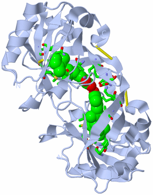 Image Biol. Unit 1 - sites