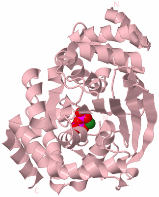 Image Biological Unit 3