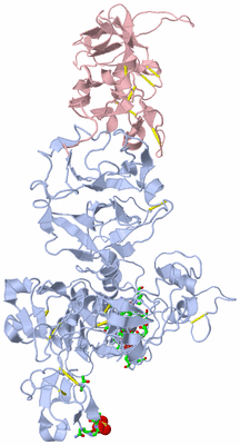 Image Biol. Unit 1 - sites