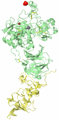 Image Biological Unit 2