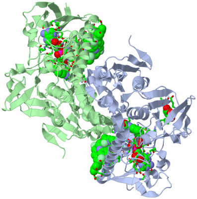 Image Asym./Biol. Unit - sites