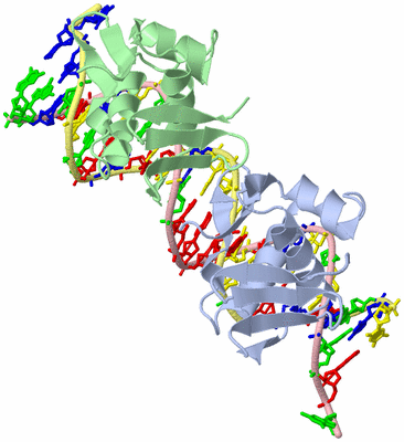 Image Biological Unit 1