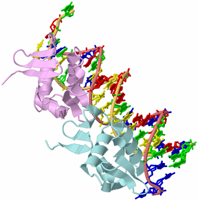 Image Biological Unit 2