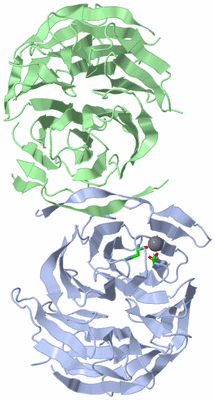 Image Asym./Biol. Unit - sites