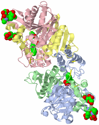Image Asym./Biol. Unit