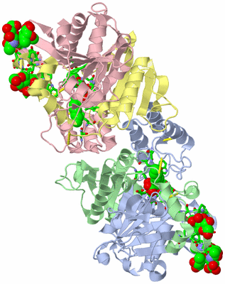 Image Asym./Biol. Unit - sites