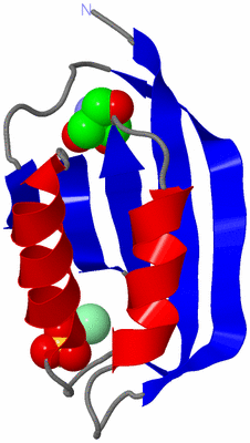 Image Asymmetric Unit