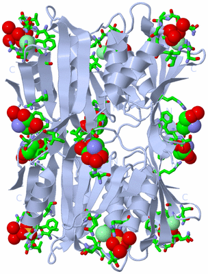 Image Biol. Unit 1 - sites