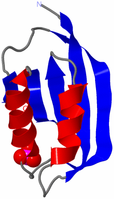 Image Asymmetric Unit