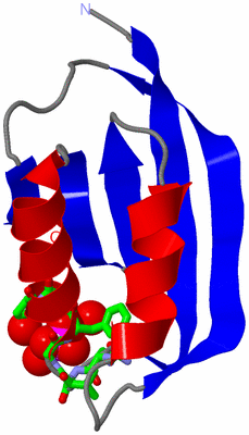 Image Asym. Unit - sites