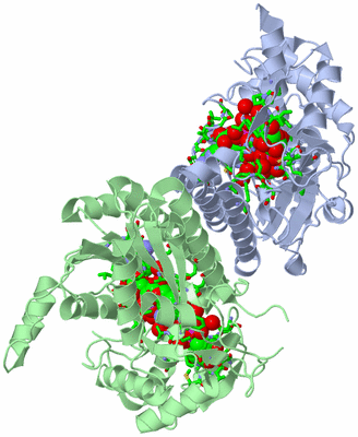 Image Biol. Unit 1 - sites