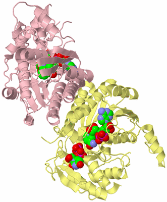 Image Biological Unit 2