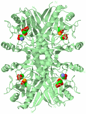 Image Biological Unit 1
