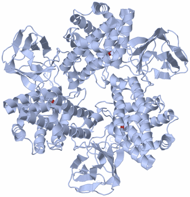 Image Biological Unit 1