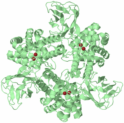 Image Biological Unit 2