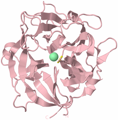 Image Biological Unit 3