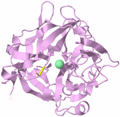 Image Biological Unit 5