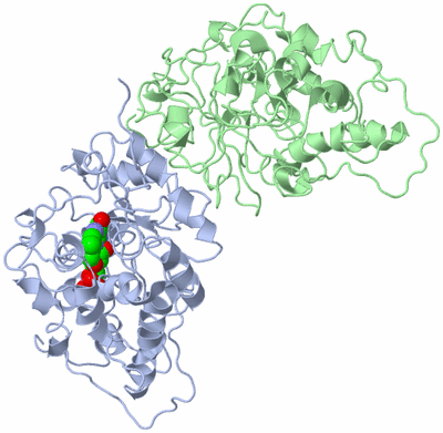 Image Asymmetric Unit
