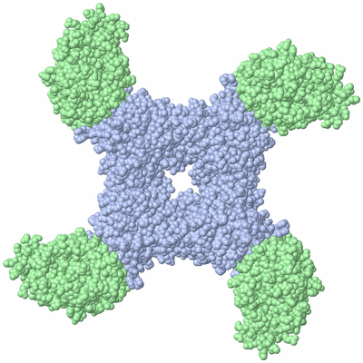 Image Biological Unit 1