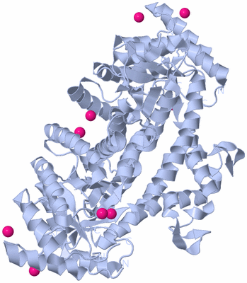 Image Biological Unit 1