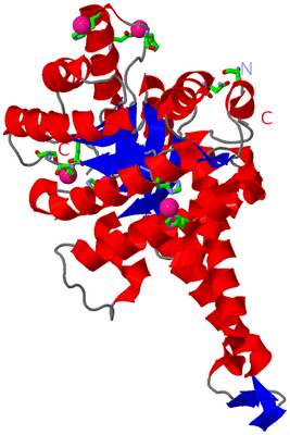 Image Asym. Unit - sites