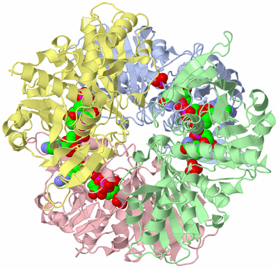 Image Asym./Biol. Unit