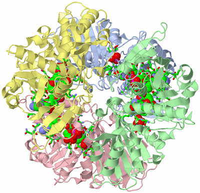 Image Asym./Biol. Unit - sites