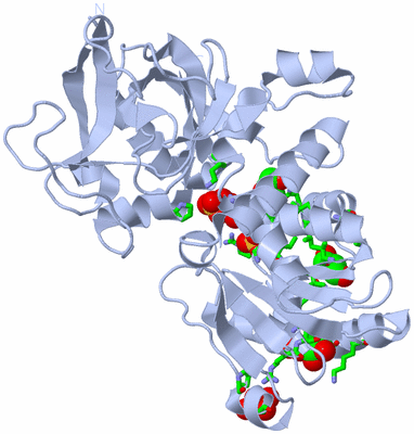 Image Biol. Unit 1 - sites