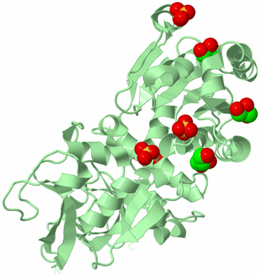 Image Biological Unit 2