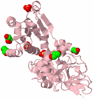 Image Biological Unit 3