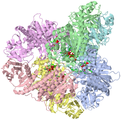 Image Biol. Unit 1 - sites