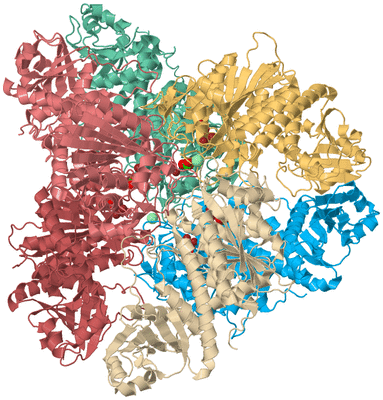 Image Biological Unit 2