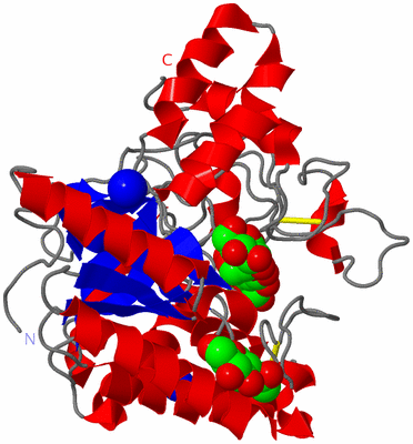 Image Asym./Biol. Unit